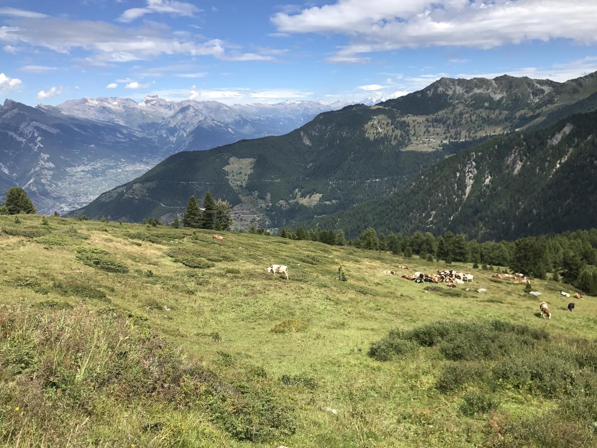 Chalet Clochette 4 Valles-Verbier 拉茨欧马兹 外观 照片